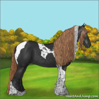 Horse Color:Gray Liver Chestnut Tobiano 