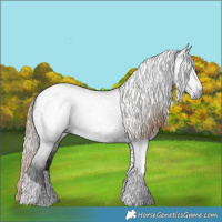 Horse Color:Gray Liver Chestnut Tobiano