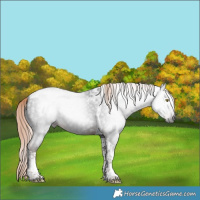 Horse Color:Gray Liver Chestnut Tobiano