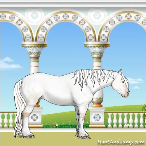 Horse Color:White Spotted Liver Red Dun Pearl Mushroom 