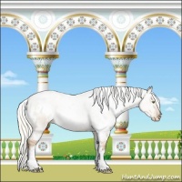 Horse Color:White Spotted Liver Red Dun Pearl Mushroom 