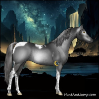 Horse Color:Gray Liver Chestnut Tobiano