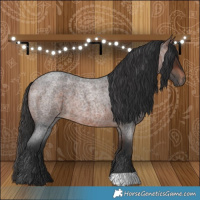 Horse Color:Brown Roan 
