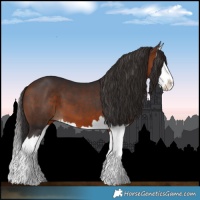 Horse Color:Bay Splash 