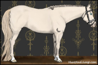 Horse Color:Perlino 