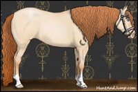 Horse Color:Buckskin Pearl Dun 
