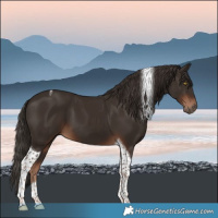 Horse Color:Liver Chestnut Tobiano 