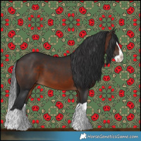 Horse Color:Brown Splash 