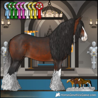 Horse Color:Bay Splash 