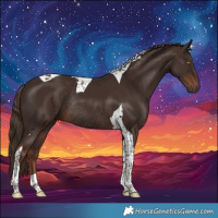 Horse Color:Liver Chestnut Tobiano Rabicano