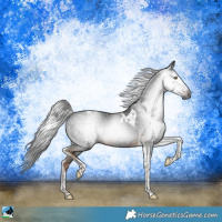 Horse Color:Gray Liver Chestnut Tobiano