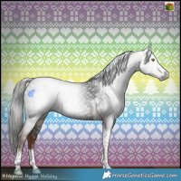Horse Color:Gray Liver Chestnut Tobiano 