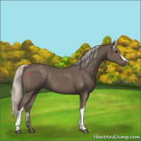 Horse Color:Silver Black 
