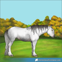Horse Color:Gray Liver Chestnut Tobiano 