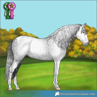 Horse Color:Gray Liver Chestnut Tobiano