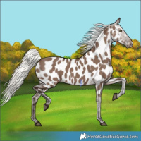 Horse Color:Liver Red Dun Mushroom Near Leopard 