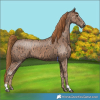 Horse Color:Chestnut Ice 