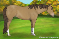 Horse Color:Classic Cream Champagne 