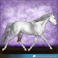 Horse Color:Gray Liver Chestnut Tobiano