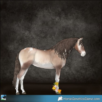 Horse Color:Liver Red Onyx Pearl Tobiano Appaloosa 