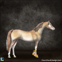 Horse Color:Gray Palomino Pearl Onyx Tobiano 