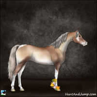 Horse Color:Silver Blue Onyx Pearl Tobiano 
