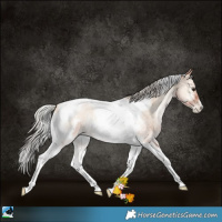 Horse Color:Silver Blue Onyx Roan Pearl Tobiano Frame 