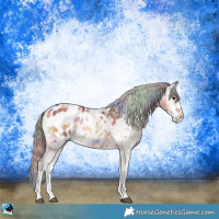 Horse Color:Nacre Bay Ice Onyx Sabino Appaloosa 