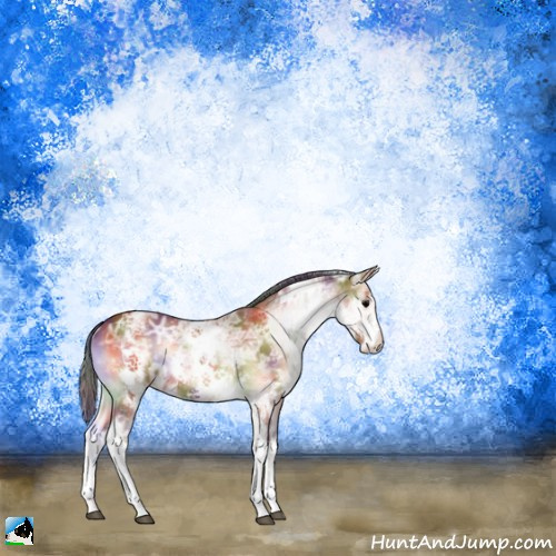 Horse Color:Nacre White Spotted Bay Ice Onyx Tobiano 
