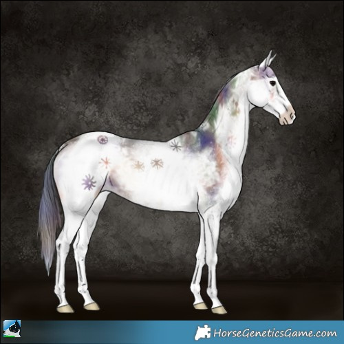 Horse Color:Nacre White Spotted Bay Ice Onyx Sabino 