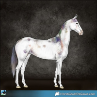 Horse Color:Nacre White Spotted Bay Ice Onyx Sabino 