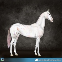 Horse Color:Nacre Gold Champagne Ice Onyx Tobiano Appaloosa 
