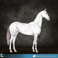 Horse Color:Nacre Gold Champagne Ice Onyx Tobiano Appaloosa 