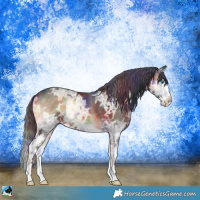 Horse Color:Nacre Brown Ice Onyx Sabino Splash