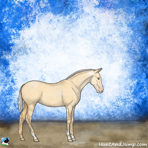 Horse Color:Silver Amber Cream Champagne Dun Sabino 