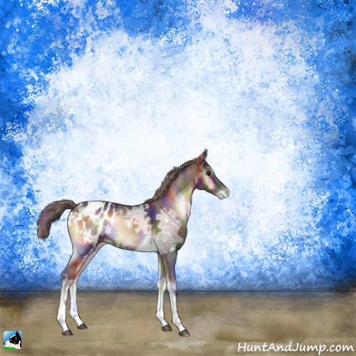Horse Color:Nacre Liver Red Onyx Ice Tobiano Appaloosa 