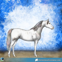 Horse Color:Nacre Liver Red Onyx Ice Splash Tobiano Appaloosa 