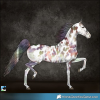 Horse Color:Nacre Liver Red Onyx Ice Tobiano Near Leopard 
