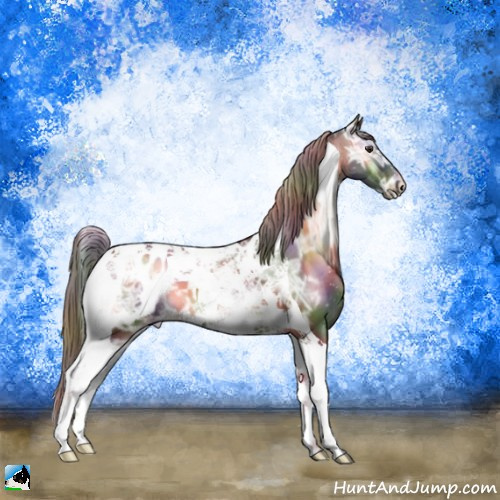 Horse Color:Nacre Liver Red Onyx Ice Tobiano Appaloosa 