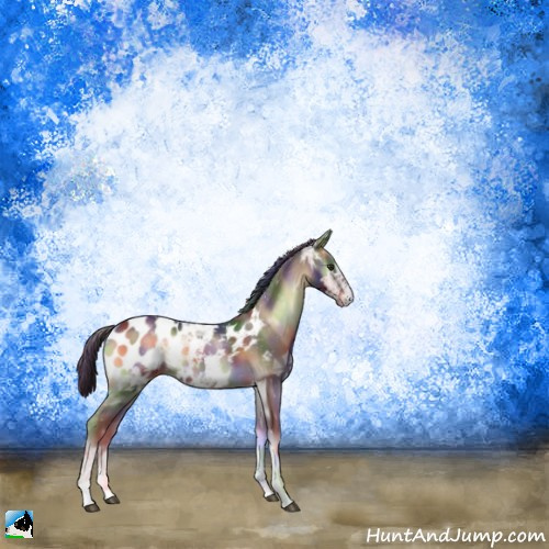 Horse Color:Nacre Liver Red Onyx Ice Tobiano Appaloosa 