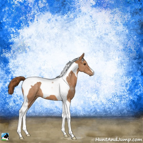 Horse Color:Chestnut Tobiano 