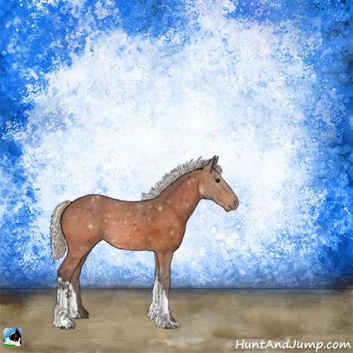 Horse Color:Silver Bay 