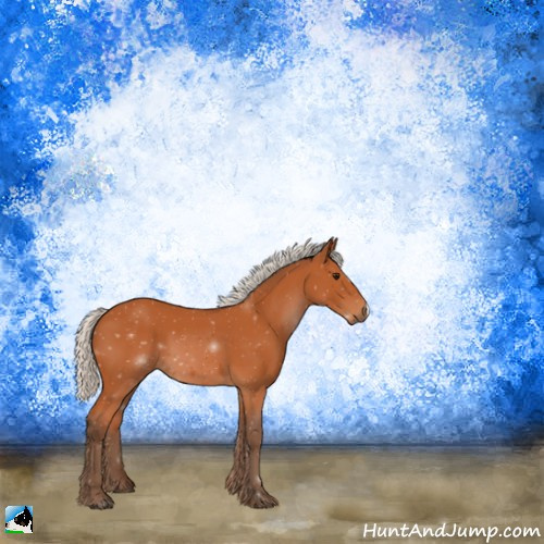 Horse Color:Silver Bay 