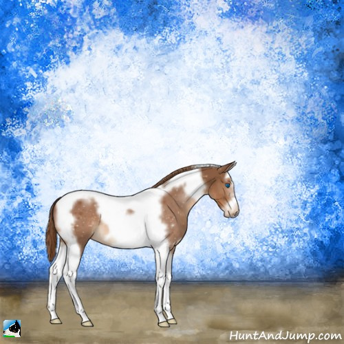 Horse Color:Chestnut Splash Tobiano Frame 