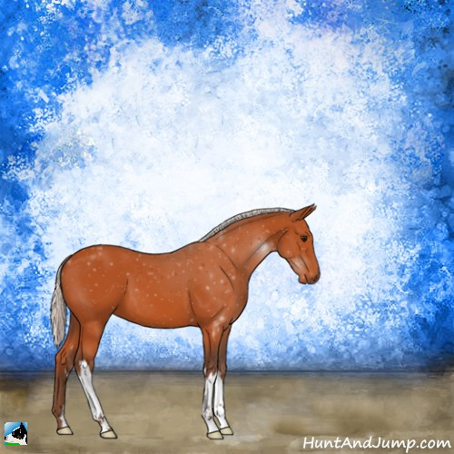 Horse Color:Silver Bay 