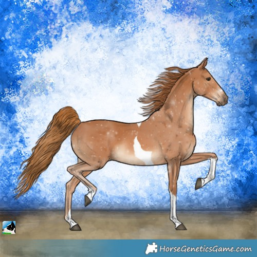Horse Color:Chestnut Tobiano 