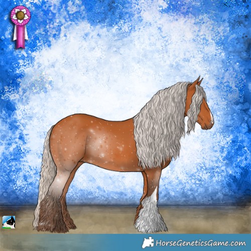 Horse Color:Silver Bay 
