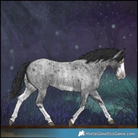 Horse Color:Blue Roan Splash Rabicano  and Blue Roan Splash Frame Rabicano 