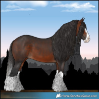 Horse Color:Bay Splash 