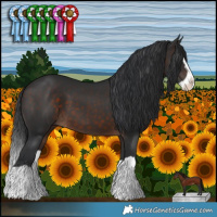 Horse Color:Brown Splash 